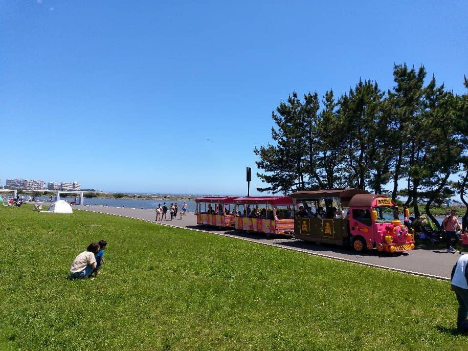 Bird Watching Sanctuary