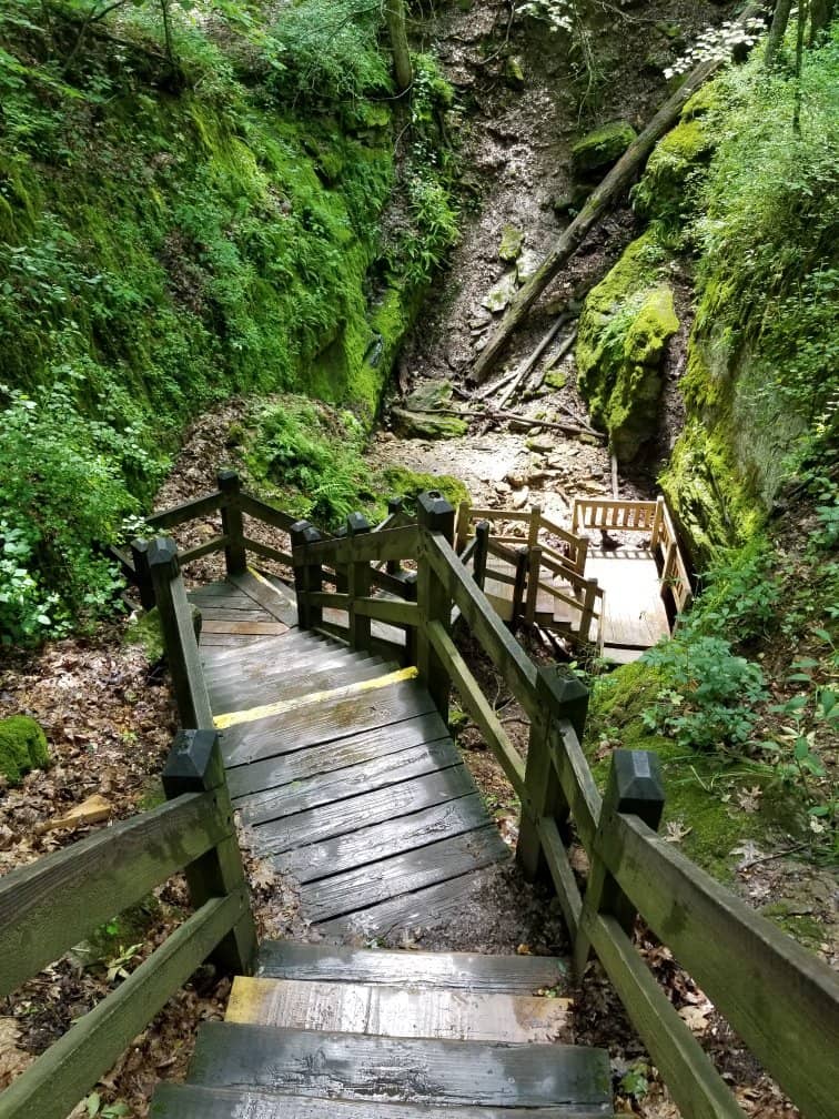 Devil's Icebox Cave