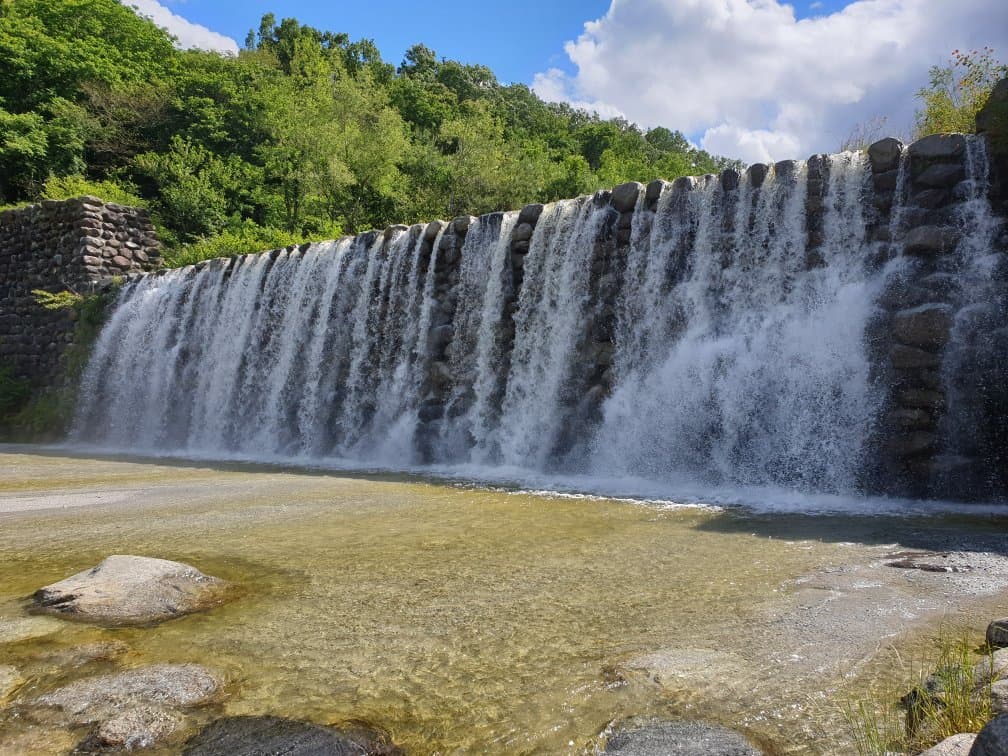 大人気のベルがえん堤です!