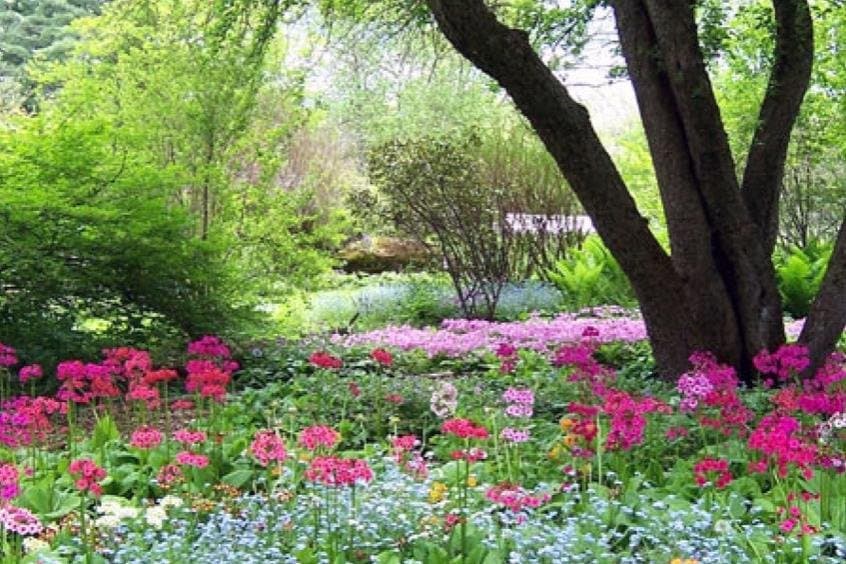 Berkshire Botanical Garden