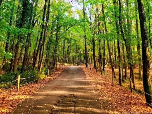 Belgrad Forest Istanbul
