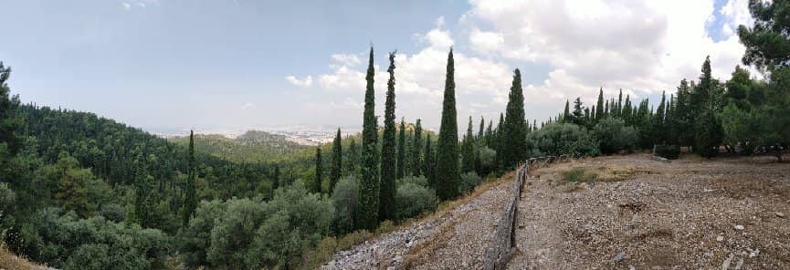 Vertical photo