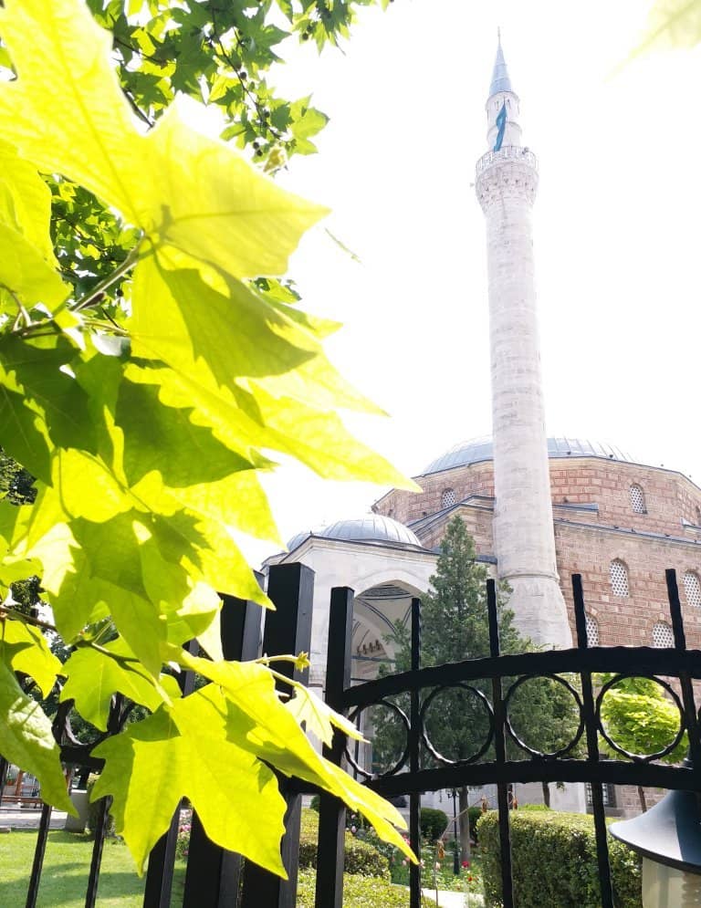 Tranquil Rose Garden