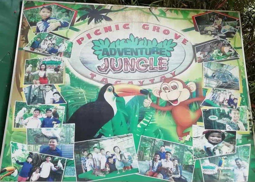 Thrilling Zipline Adventure