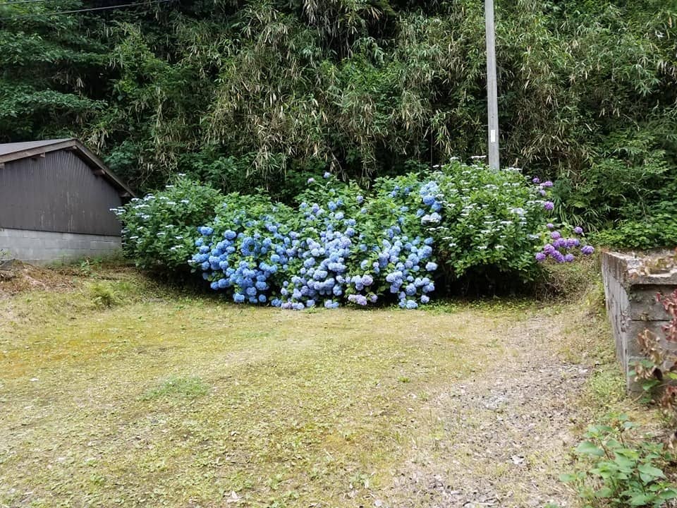 Scenic Pilgrimage Trail