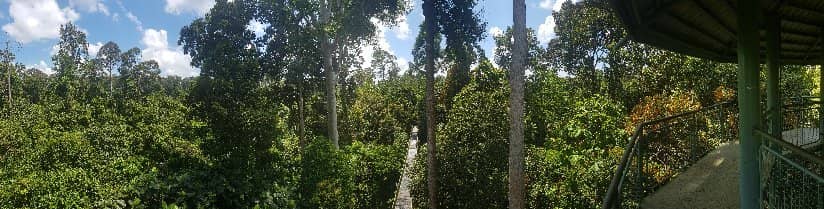 Bird Watching Towers