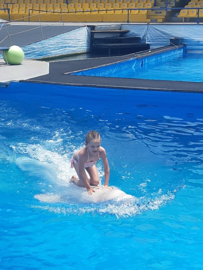 Beluga Whale