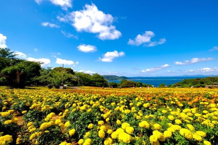 Nokonoshima Island
