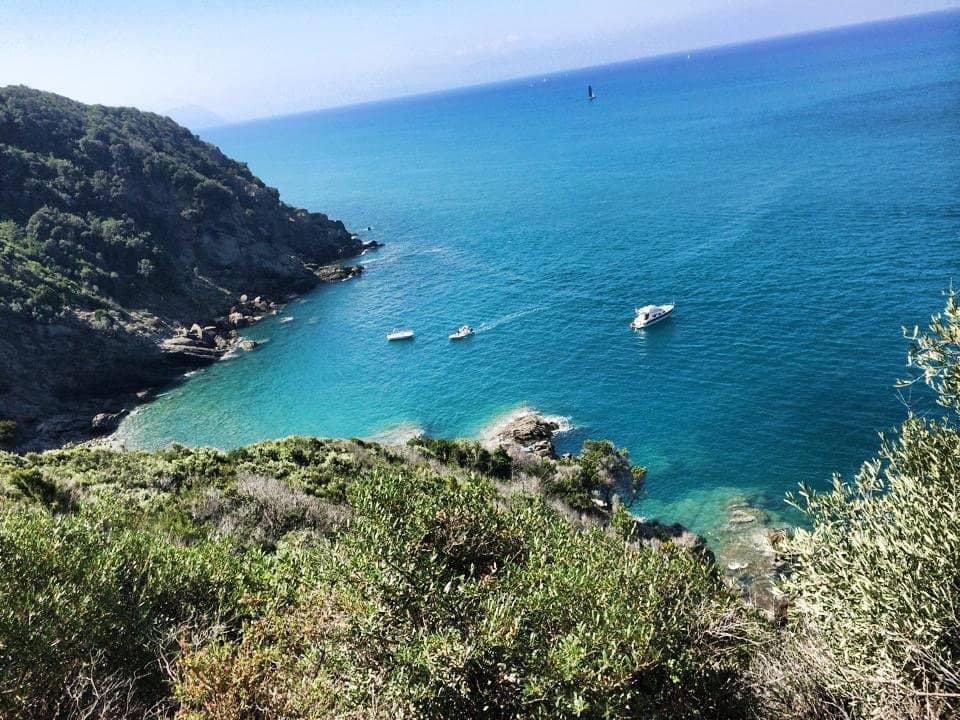 Snorkeling & Freediving