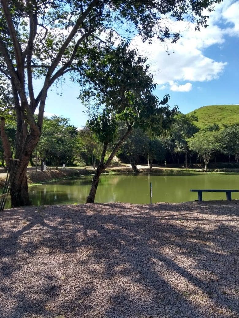 Live Music & Entertainment