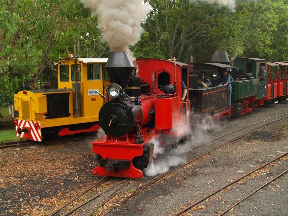 Steam locos Germany (Red), Invicta (Black) and Bundaberg Fowler #3 (Green), also Diesel loco Valdora (Yellow).