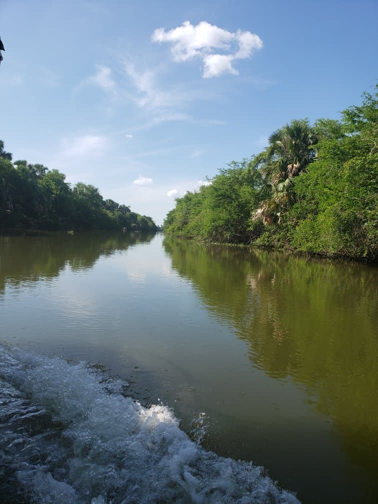 Pantanos de Centla