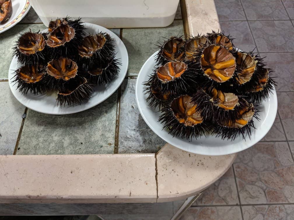 Rustic Atmosphere and Classic Vibes