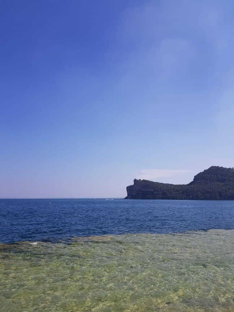 Canine Companions Welcome