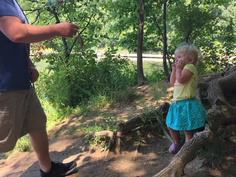 Playground & Picnic Areas