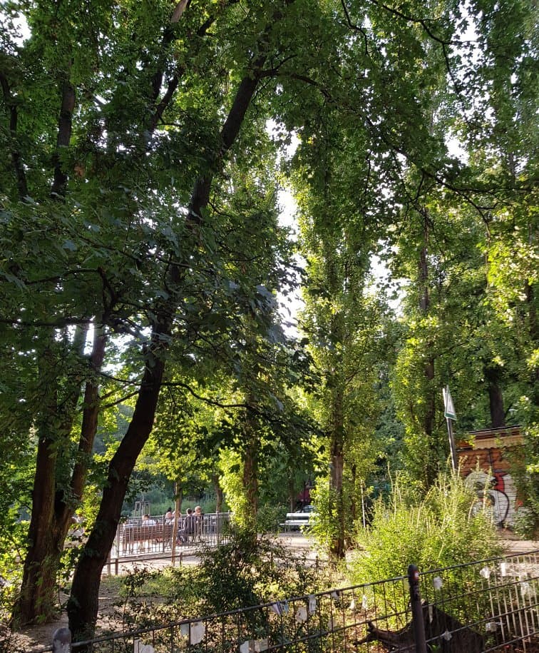 Cool park