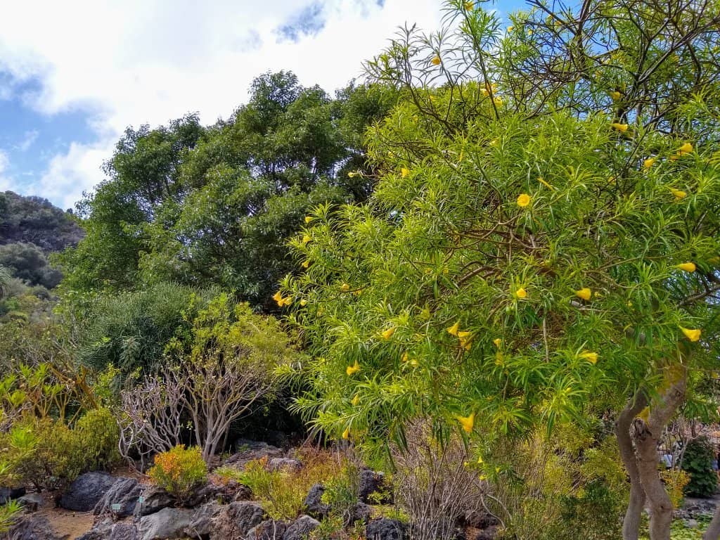 Diverse Themed Gardens