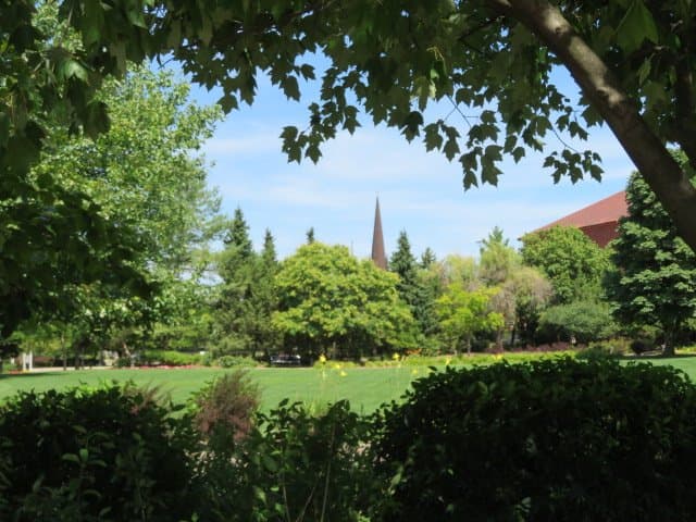 walking in Linear Park