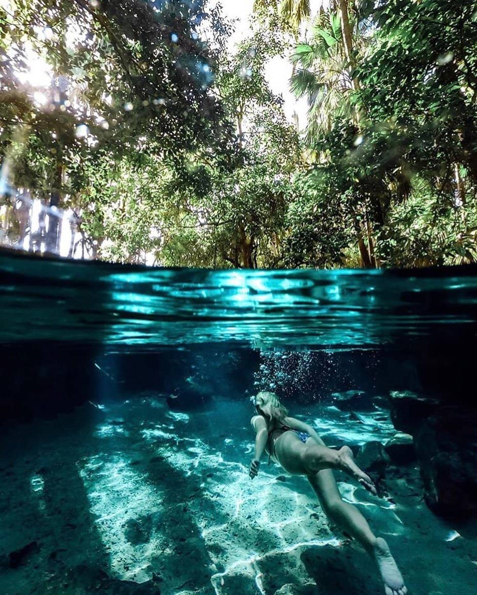 Mataranka Thermal Pool