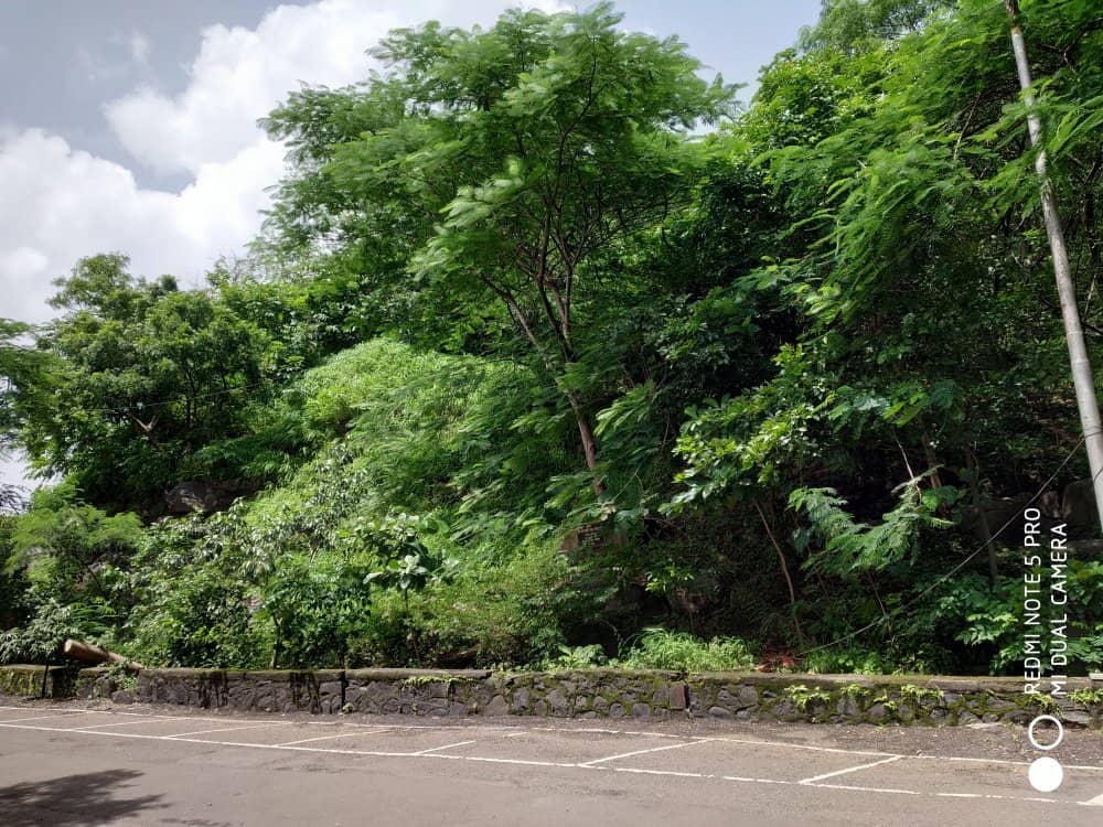 Parsik Hill Waterfalls