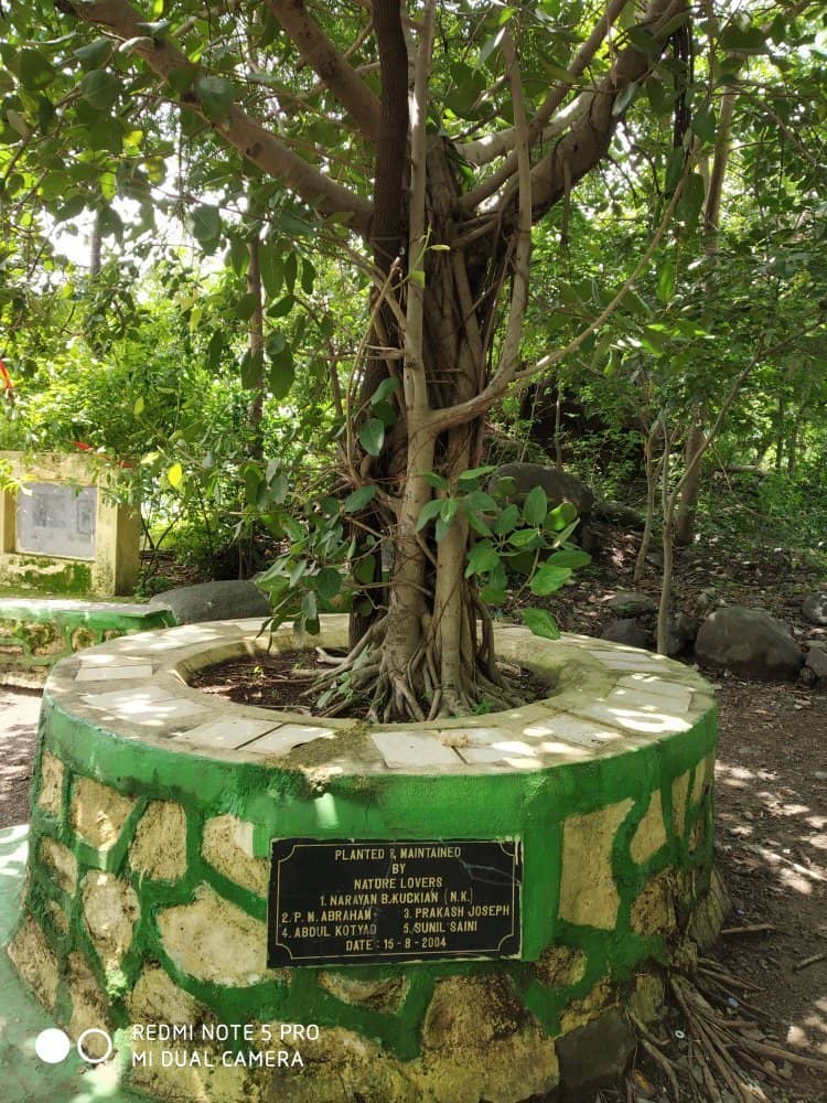 Panoramic City Views