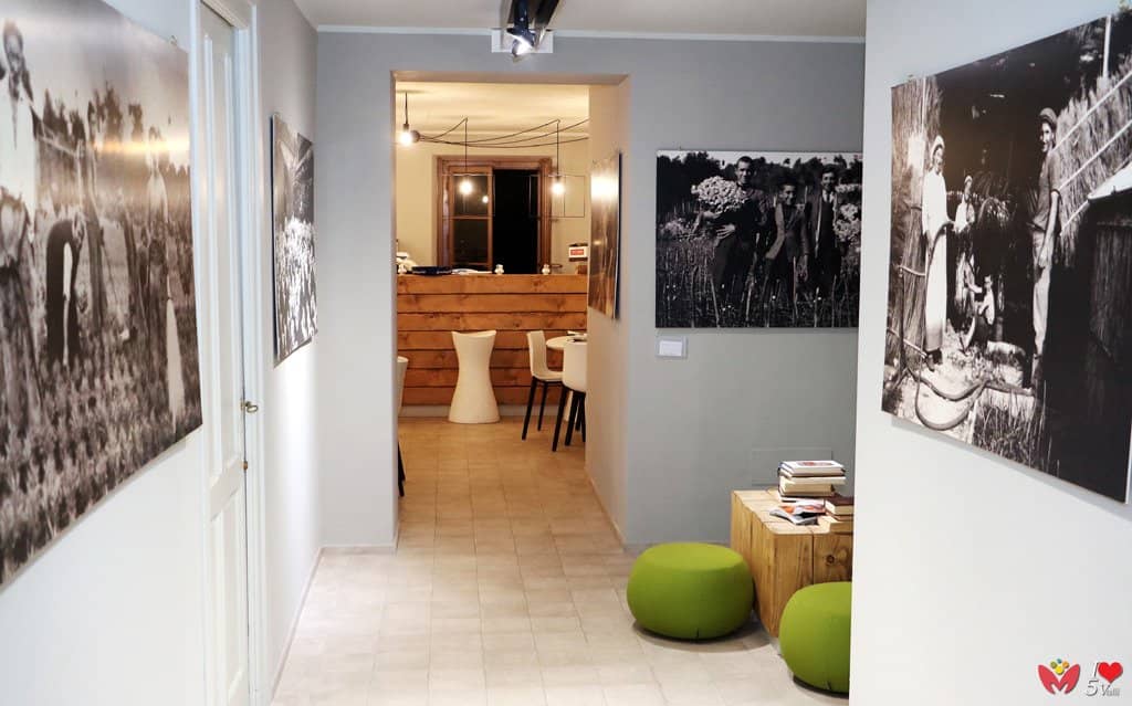 Historical Floral Photography