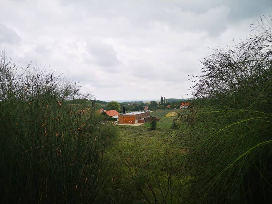 Medicinal Garden History