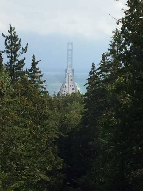 Vertical photo