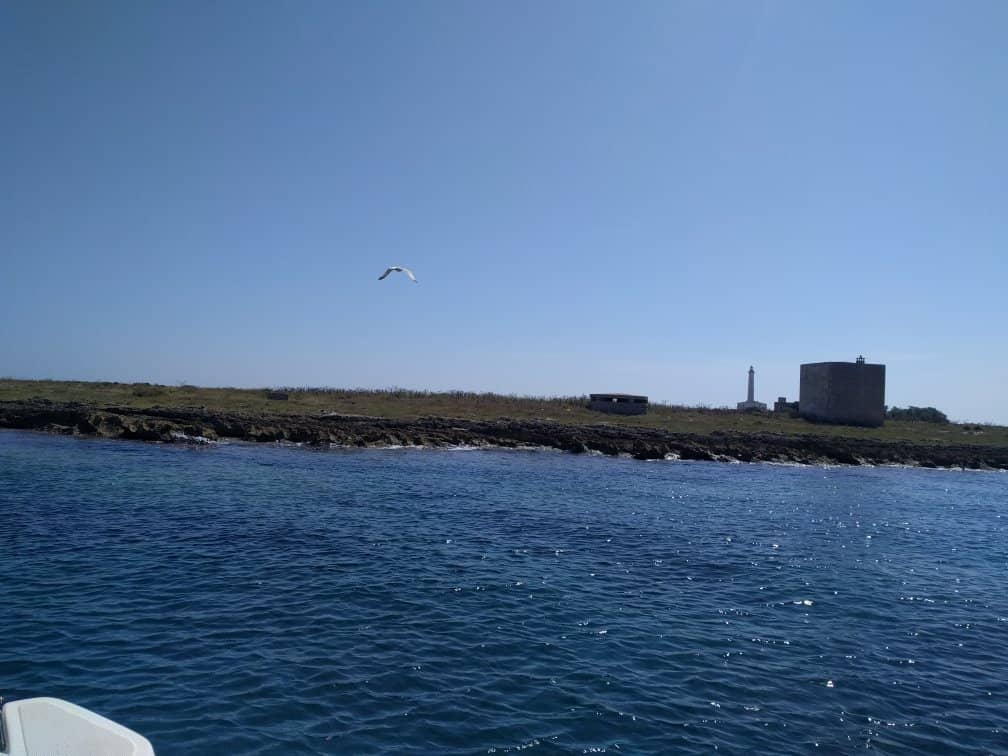 Crystal Clear Waters