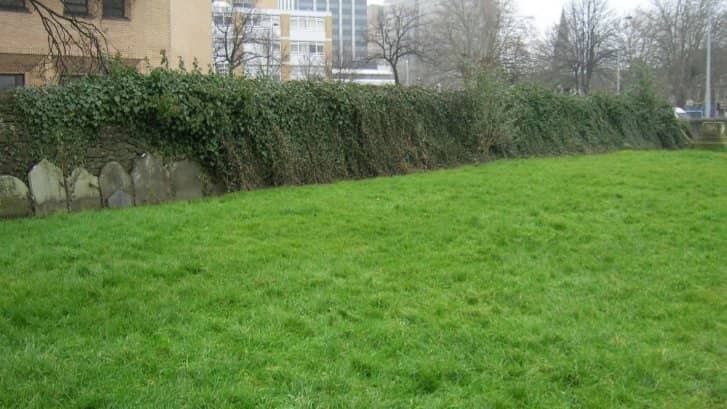 Neighborhood Serenity