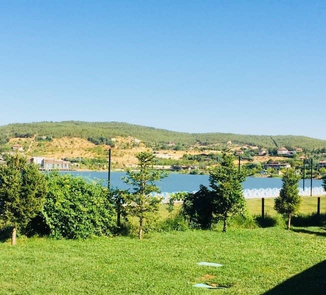 Relaxing Pond Views