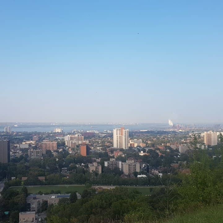 Wildflower and Rock Gardens