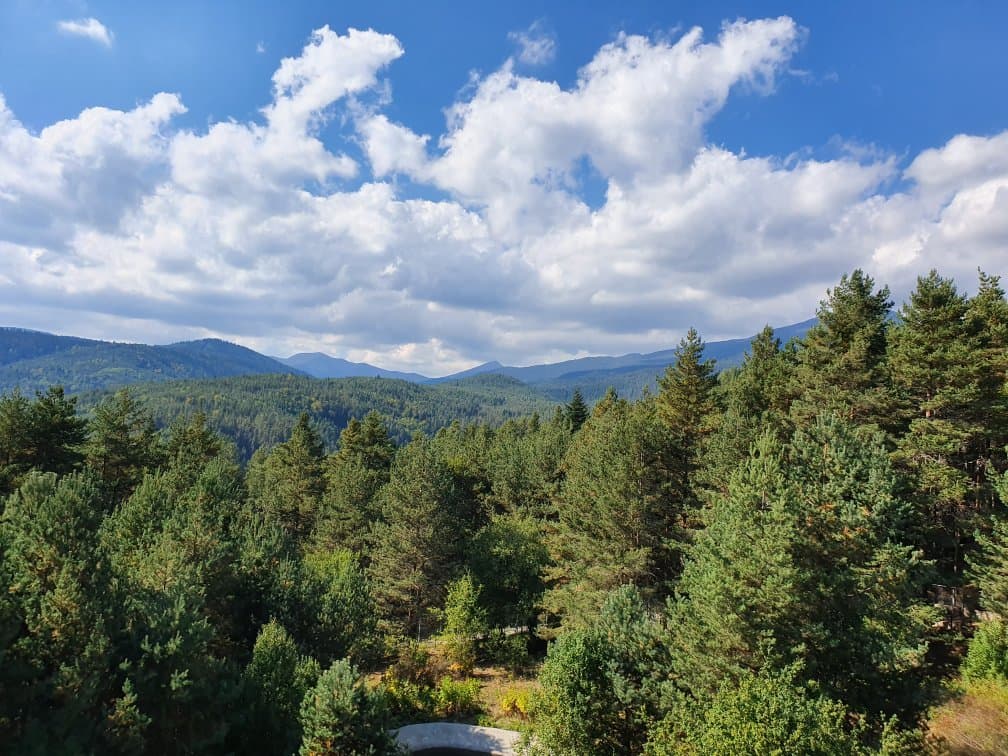 Dancing Bears Park Belitsa