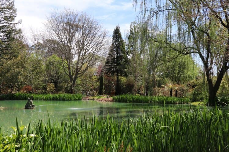 Visit the Red Cow Farm