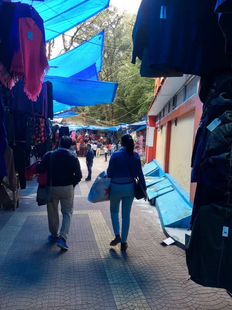 Winter Woolens Galore