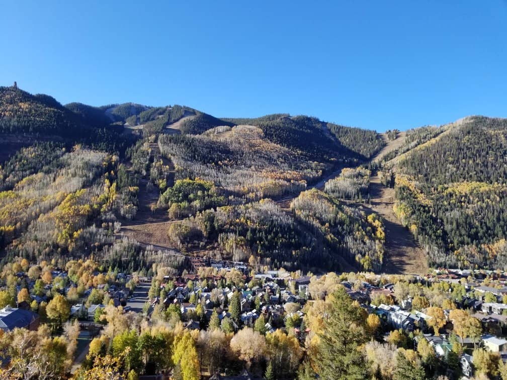 Golden Aspen Forests