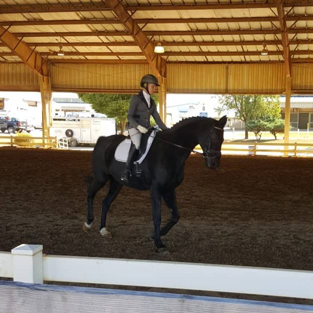 Working Equitation Events