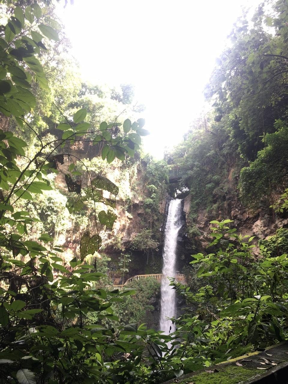 The Majestic Cascade