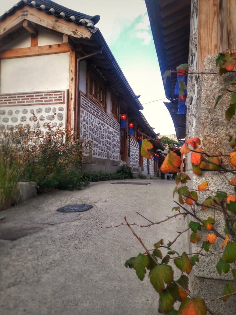 Explore the Donuimun Museum Village