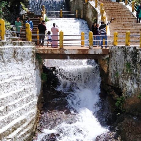Roadside Charm