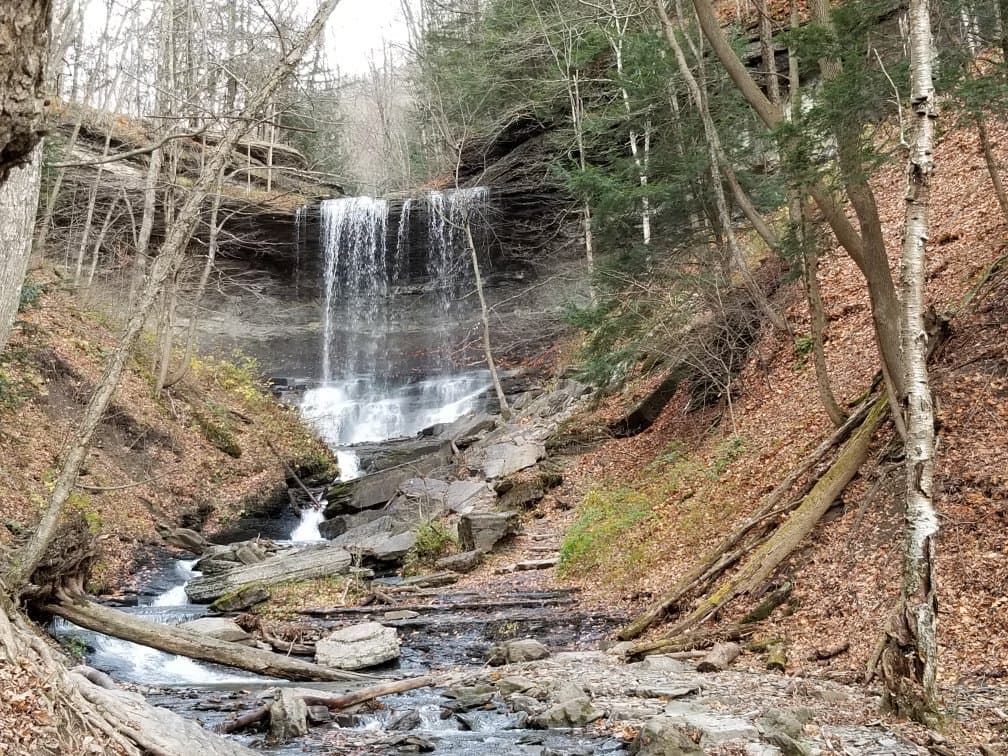 Labrador Hollow Unique Area