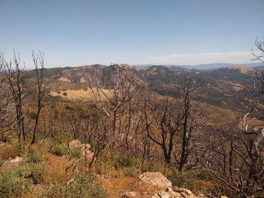 Summit & Gunsight Rock