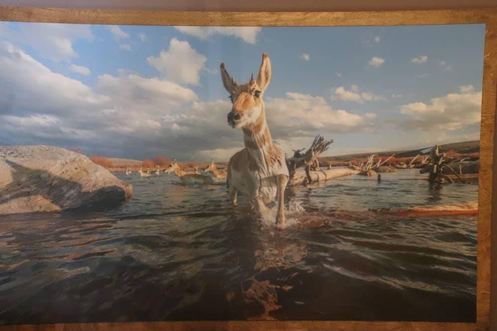 Interactive Exhibits