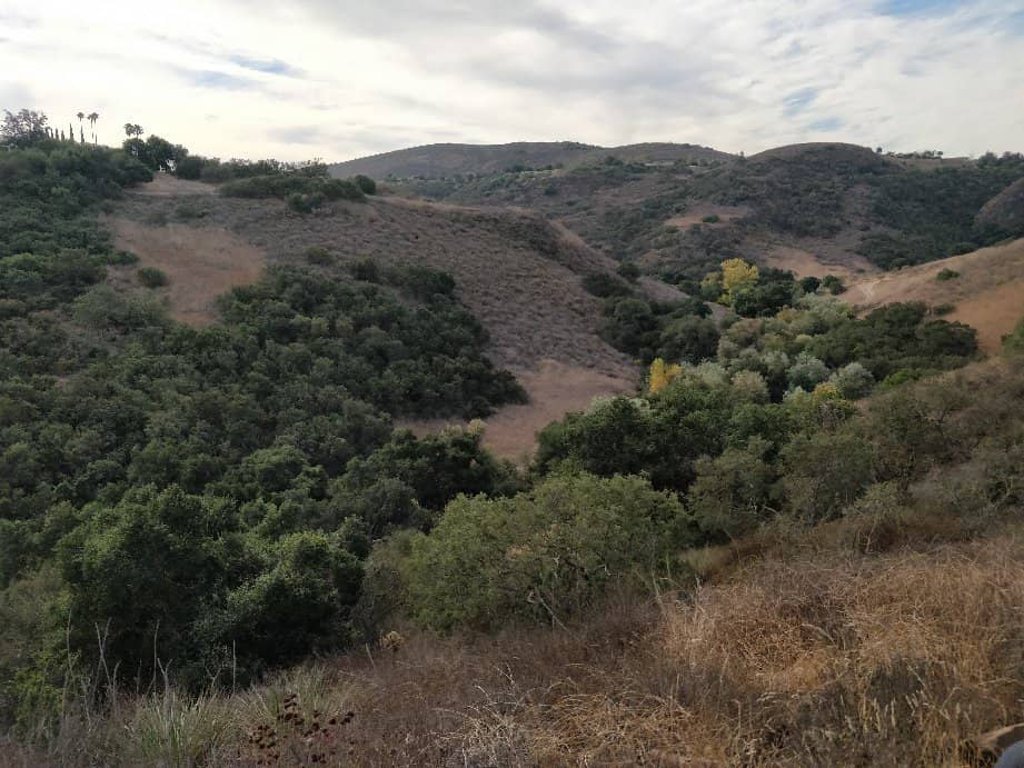 Scenic Canyon Trails