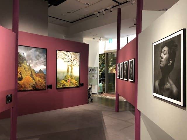 Fujifilm Film Stock Showcase