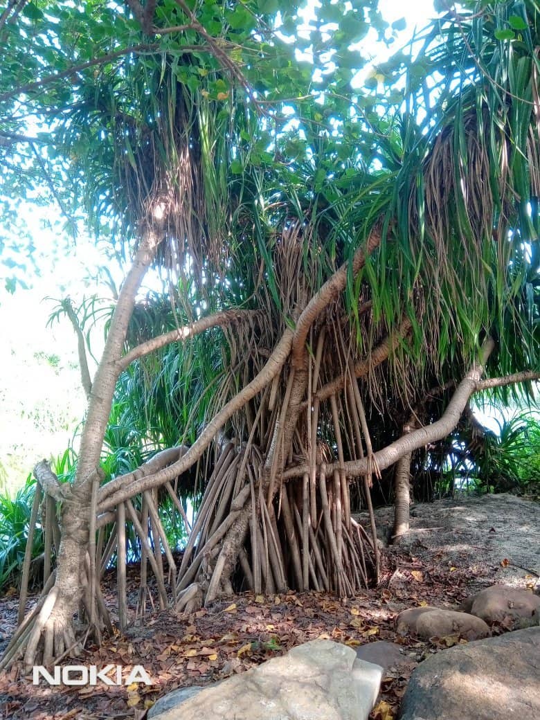 Stone Art Installations