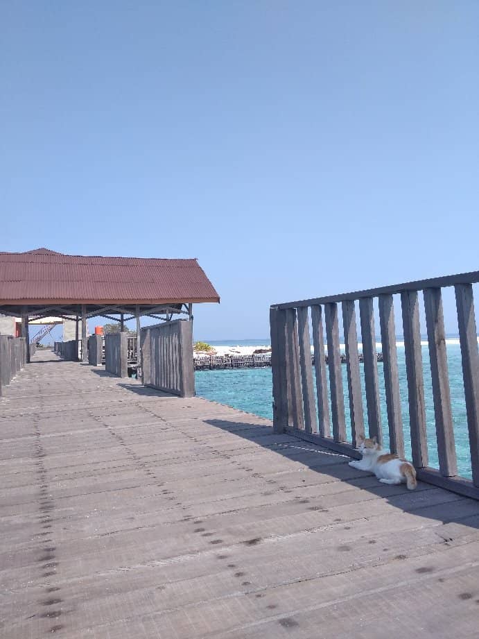 Vibrant Underwater World