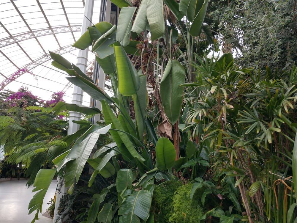 Children's Playground