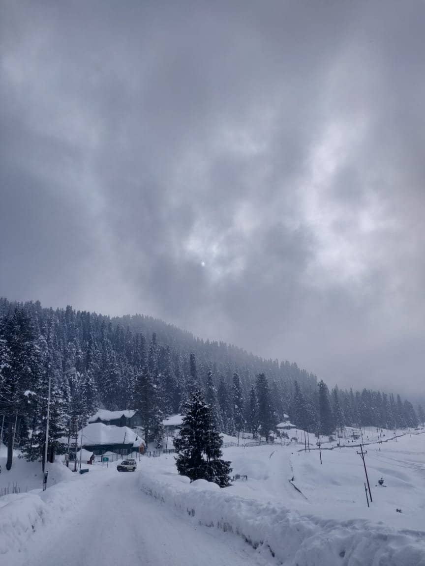 Panoramic Mountain Vistas