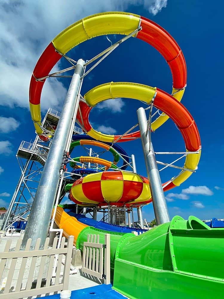 Flamingo Beach Encounters